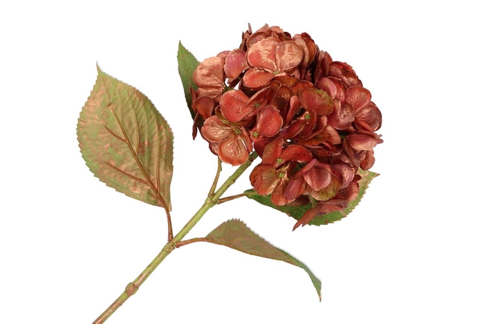 Silk Hortensia Copper Pink 68cm