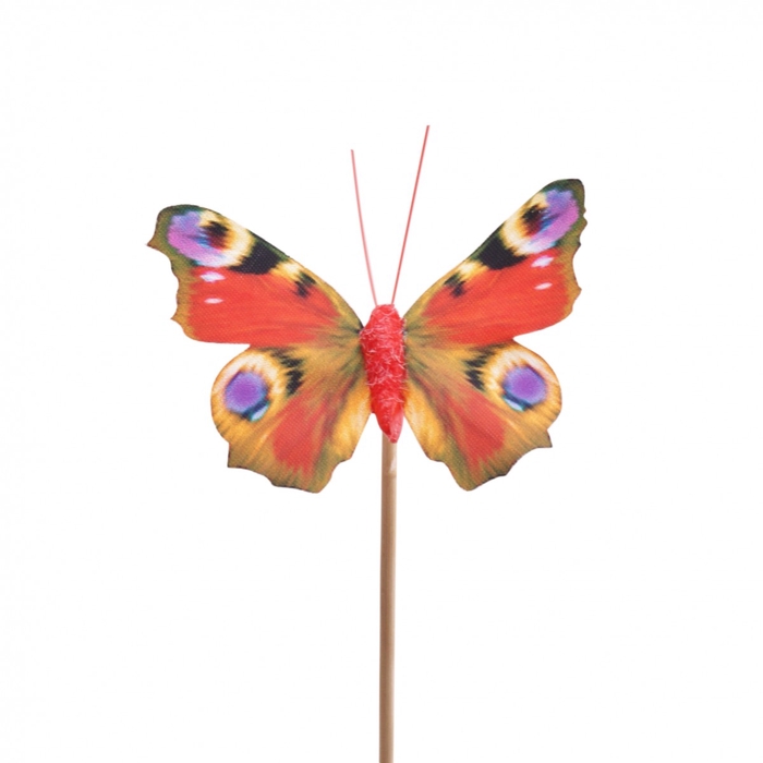<h4>Sticks 50cm Butterfly Auralia 8cm</h4>