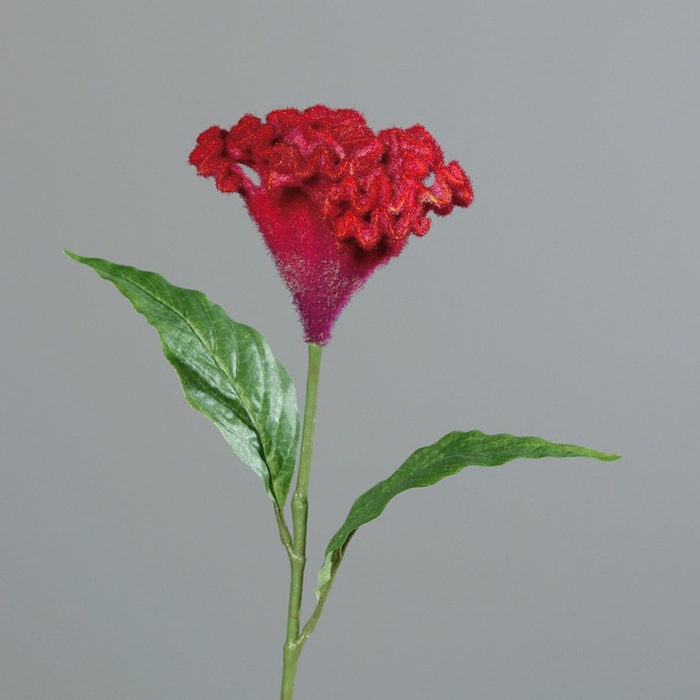 <h4>Celosia 62 cm red</h4>
