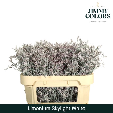 <h4>Limonium skylight paint white</h4>