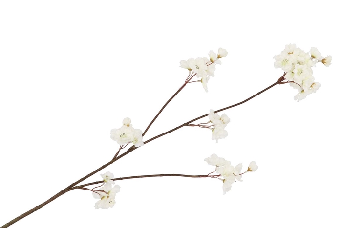 Silk Cherry Blossom White 85cm