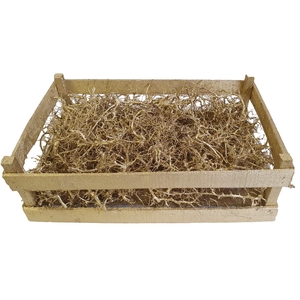 Bonsai branches in box Gold