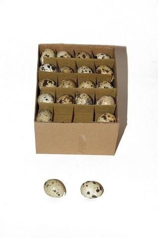 <h4>Egg goose quail bigbox 60pcs per tray</h4>