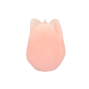 Candle Tulip White Pink10x13cm