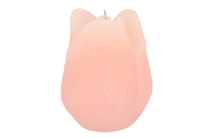 <h4>Candle Tulip White Pink10x13cm</h4>