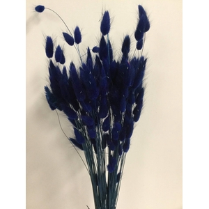 DRIED FLOWERS - LAGURUS BLUE 50GR
