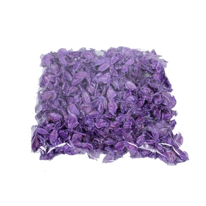 Cotton pods 250gr in poly Pearl Purple