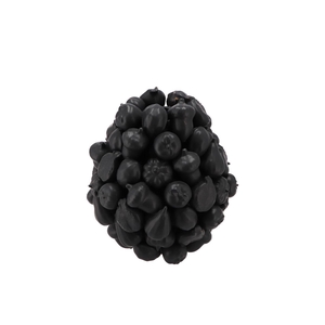 Forest Fruit Black Vase 15x16cm