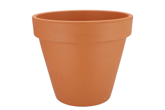Terracotta Basic Pot 31cm