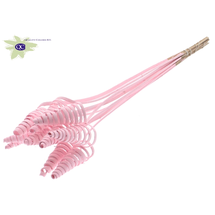 <h4>Cane Cone on stem Covered Light Pink</h4>