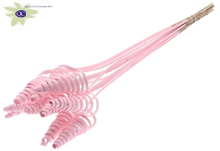 Cane Cone on stem Covered Light Pink