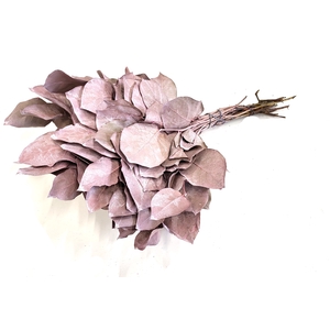 Salal tips dried per bunch Frosted Pink