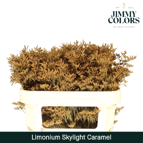 <h4>Limonium Skylight L70 Caramel</h4>