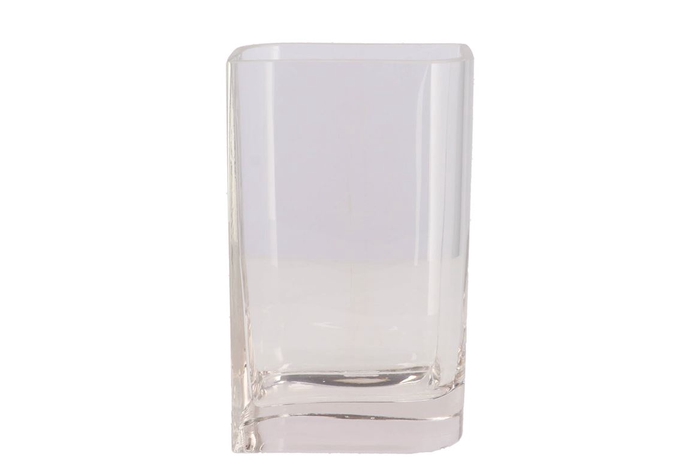 <h4>Glass Rectangular Vase 25x10x15cm</h4>