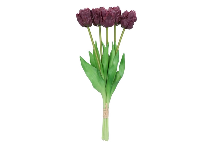 <h4>Silk Tulip Papagayo 5x Purple 39cm</h4>