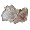 Shell White chimmam 1 kg in poly