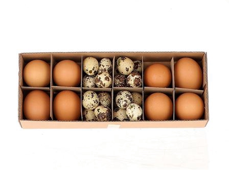 <h4>Egg Combi 8 Chicken 24 quail L28W11H7</h4>