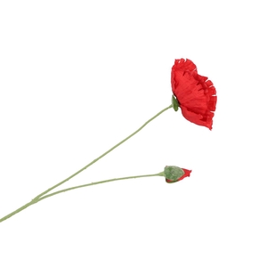 Silk Poppy Red 70cm