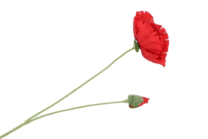 <h4>Silk Poppy Red 70cm</h4>