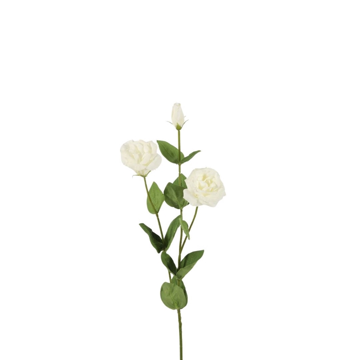 <h4>Artificial flowers Lisianthus Real Touch 73cm</h4>