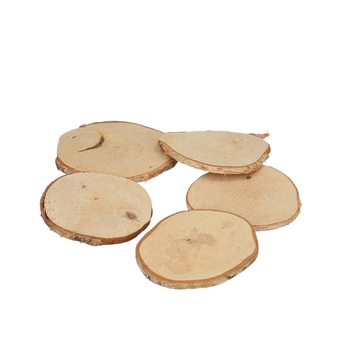 <h4>Dried articles Wood slice birch d08*9cm x10</h4>