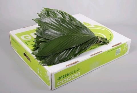 <h4>Leaf cocos box medium Green Ocean</h4>
