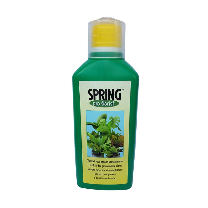 <h4>Spring Voedsel Voor Groene Kamerplanten 500ml</h4>