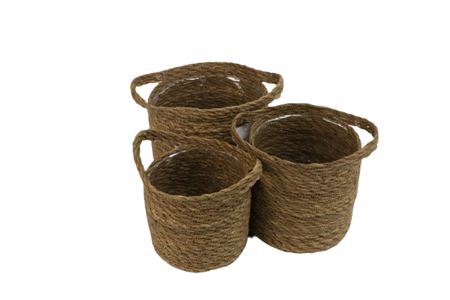 Basket Dash Grass S2 D18