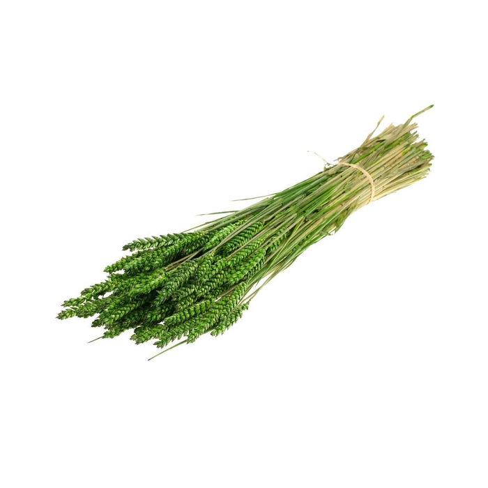 <h4>Tarwe moss green</h4>
