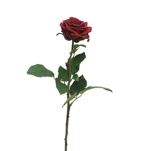 SILK FLOWERS - ROSA BROCELIANDE RED 65CM