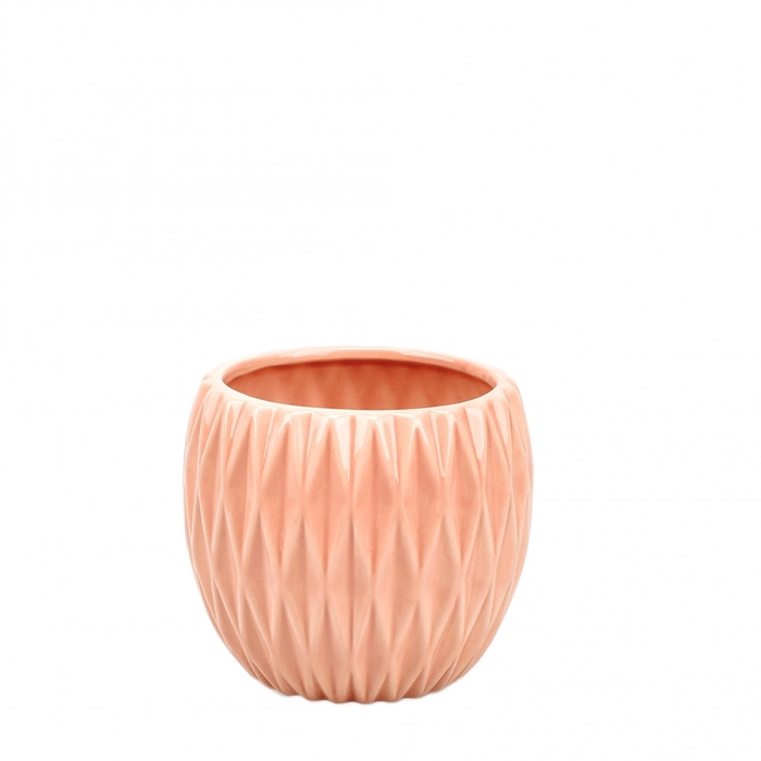<h4>Ceramics Magna pot d12*10.5cm</h4>
