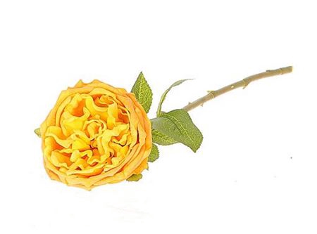 <h4>Stem Rose Florabunda L44w13h10</h4>