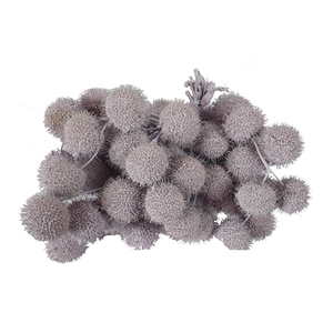 Small ball per bunch in poly Pastel Purple