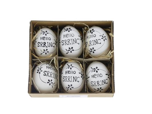 <h4>Egg Chicken Hello Spring Box/6</h4>