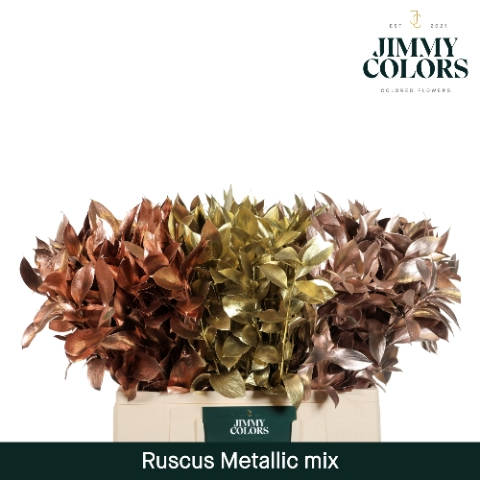 <h4>Ruscus L60 Mtlc. Mix</h4>
