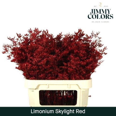 <h4>Limonium skylight paint red</h4>