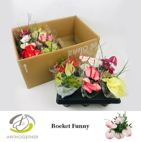 <h4>Funny Boeket 5 bloem 12</h4>