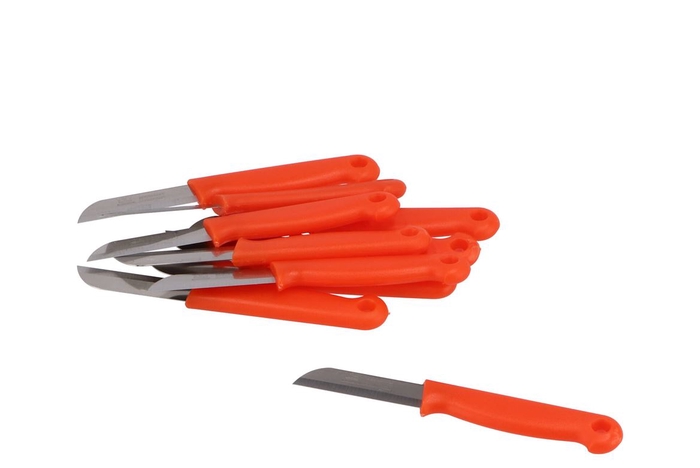 <h4>Flowermaterial Knives Orange Set Of 10</h4>