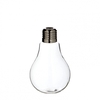 Glass Vase Light bulb d08*12cm