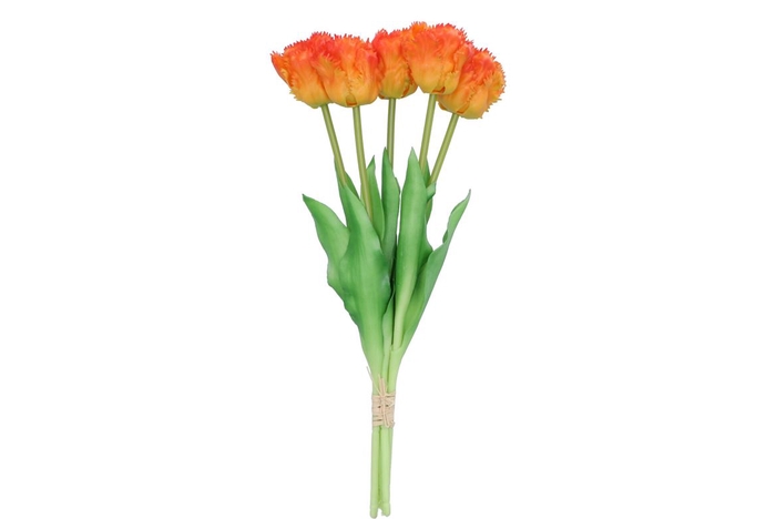 <h4>Silk Tulip Papagayo 5x Orange 39cm</h4>