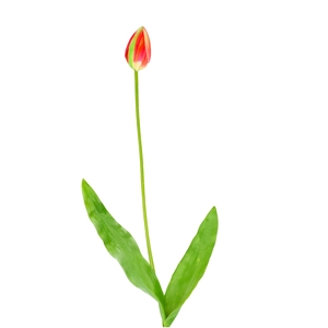 Artificial flowers Tulipa 66cm