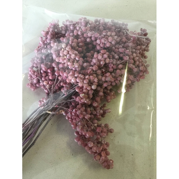 <h4>PEPPERBERRIES FROSTED PINK</h4>