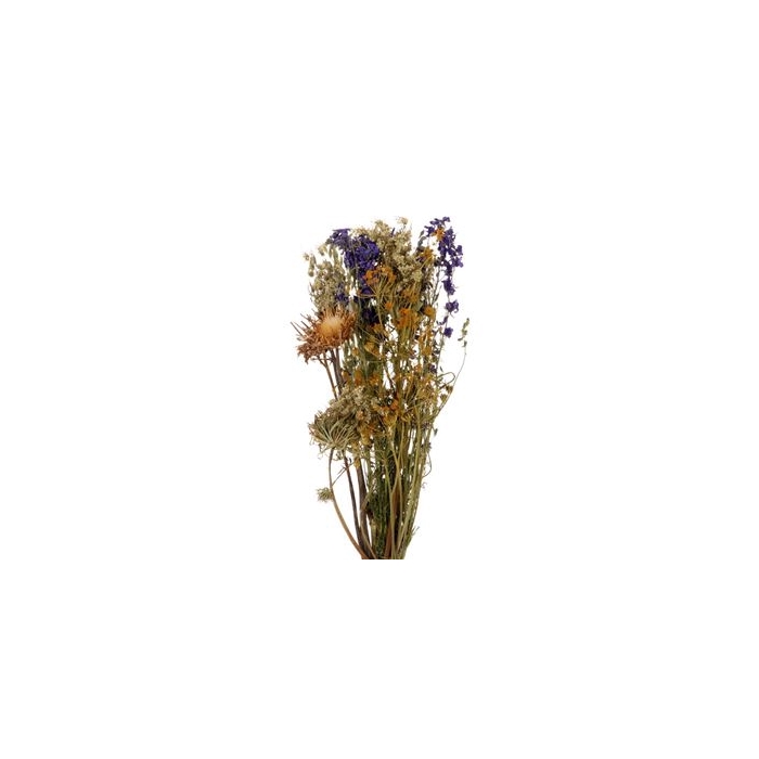 <h4>Bouquet Ducth Nights L55</h4>