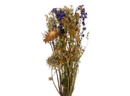 <h4>Bouquet Ducth Nights L55</h4>