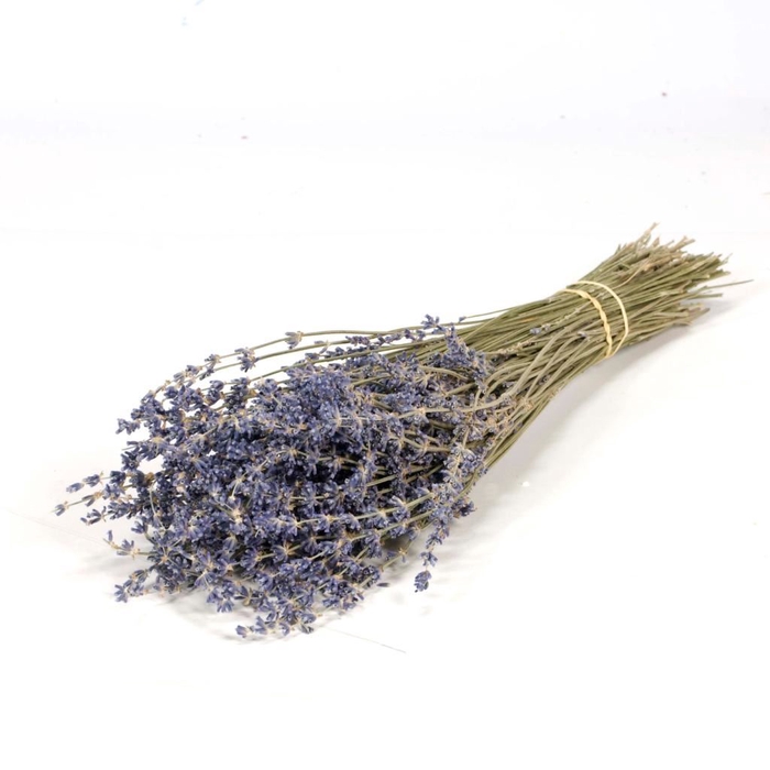 <h4>Lavender 100gr natural blue</h4>