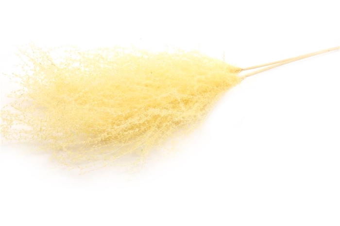 <h4>Dried Stipha Feather Yellow Large Bunch</h4>