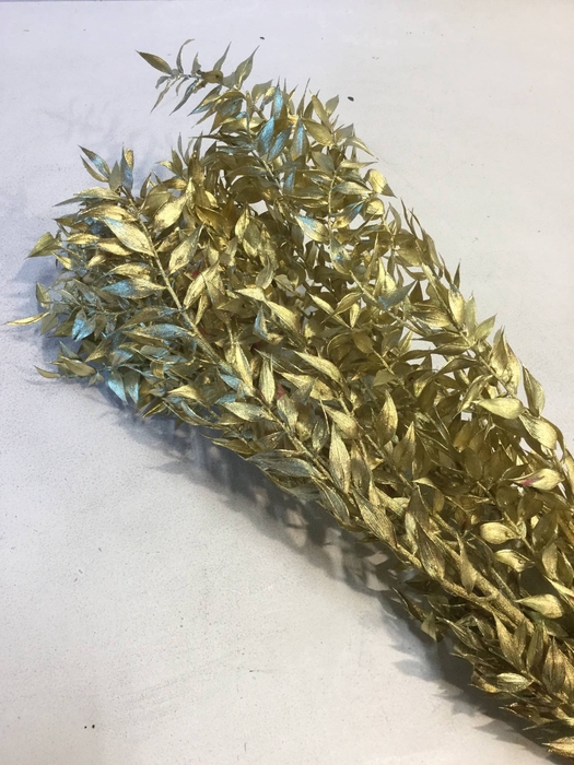 DRIED FLOWERS - RUSCUS GOLD 5PCS