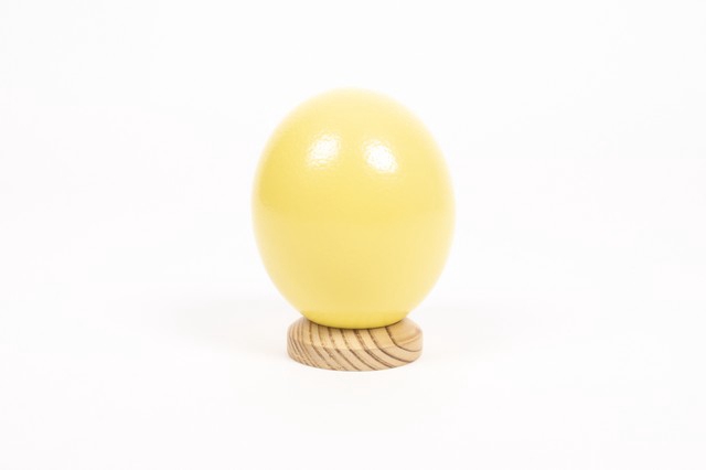 <h4>Egg ostrich paint yellow</h4>