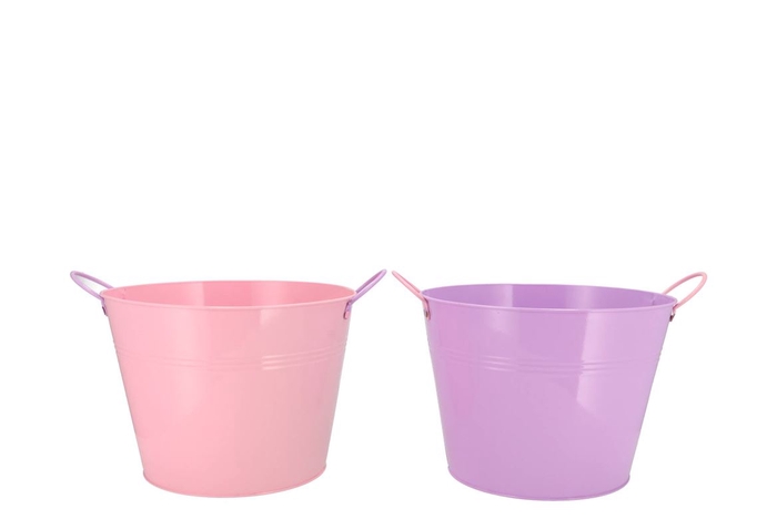 Zinc Basic Lila/pink Ears Bucket 23x18cm