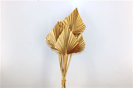 <h4>Dried Palm Spear 10pc Antique Gold Bunch</h4>